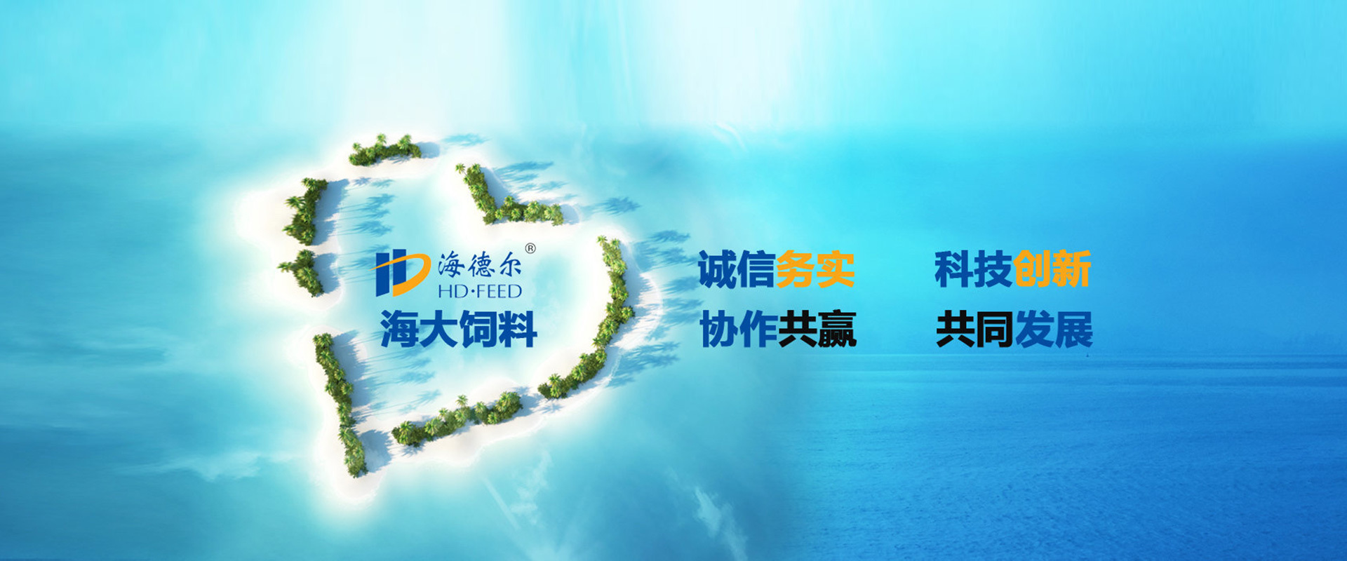 海德爾理念